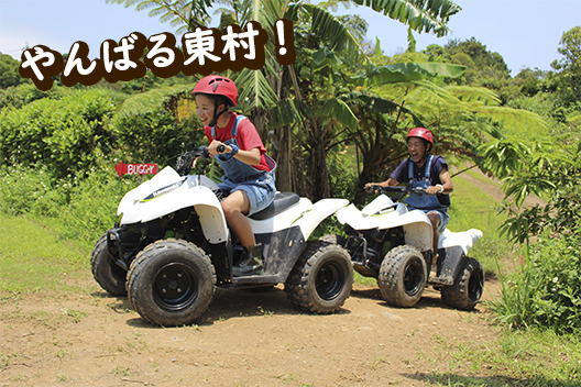 どきどきヤンバルンチャー