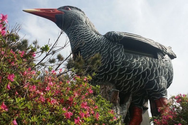 ヤンバルクイナ展望台