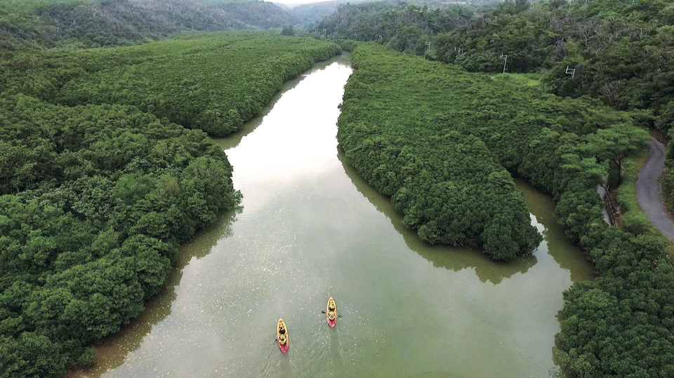 東村ふれあいヒルギ公園