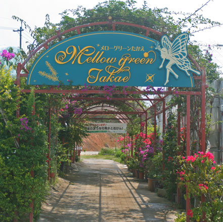 メローグリーンたかえ