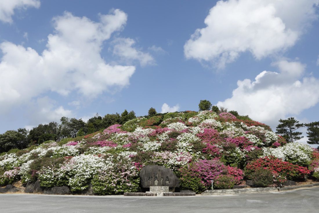 村民の森つつじ園
